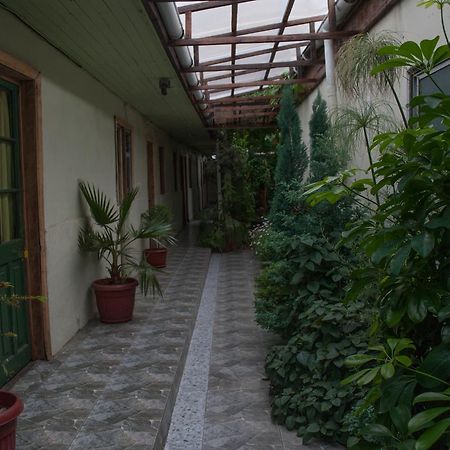 Hostel 1760 Talca  Extérieur photo